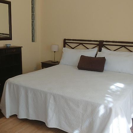 534 Petit San Telmo - Studio & Suites ブエノスアイレス エクステリア 写真